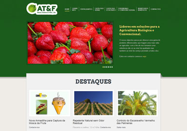 Portfolio - Amaro Tavares & Filho